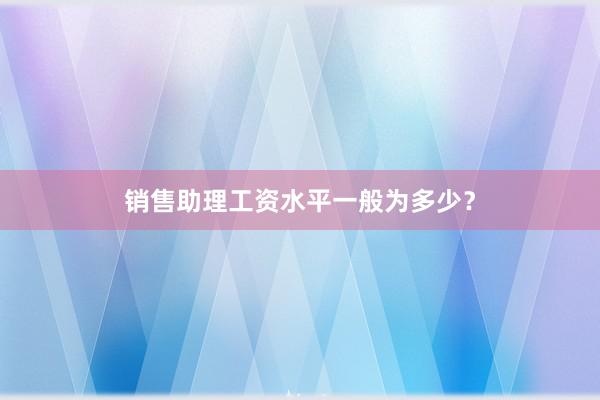 销售助理工资水平一般为多少？