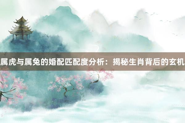 属虎与属兔的婚配匹配度分析：揭秘生肖背后的玄机