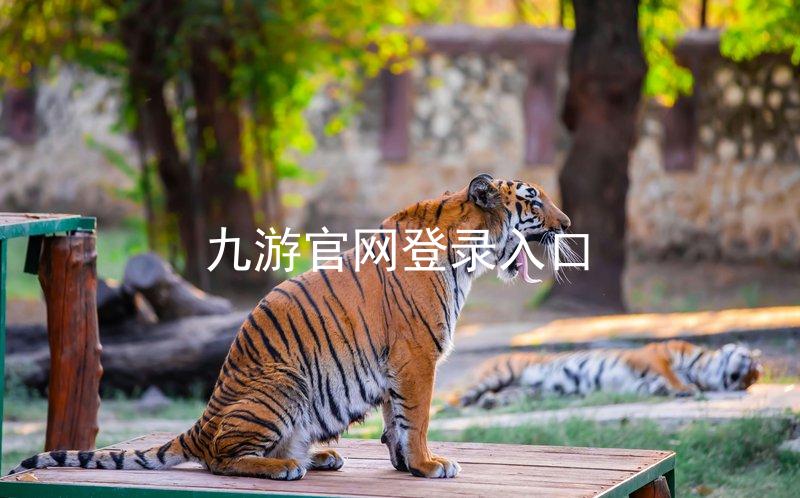 九游官网登录入口